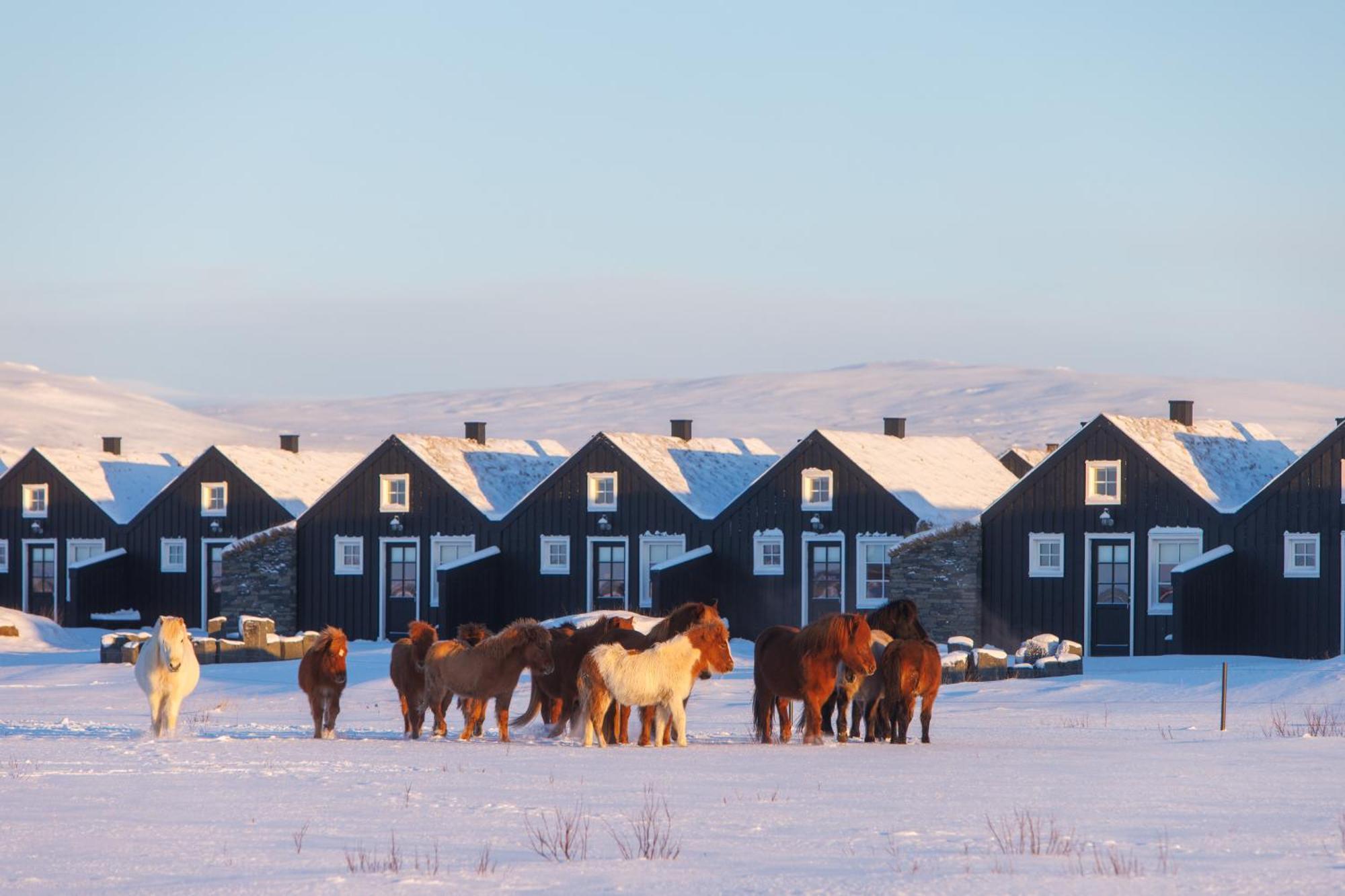 Torfhus Retreat Hotel Selfoss Ngoại thất bức ảnh